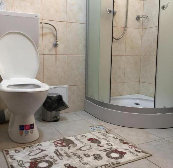 Номер Стандарт, Rares