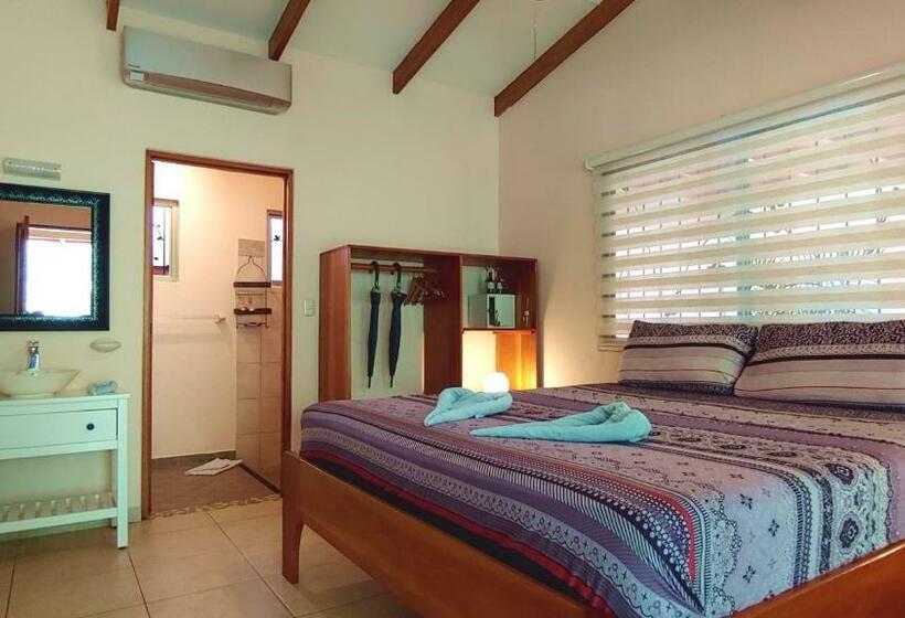 带大床的标准间, Jardín De Los Monos