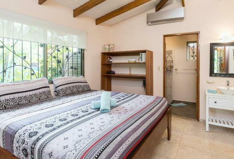 带大床的标准间, Jardín De Los Monos