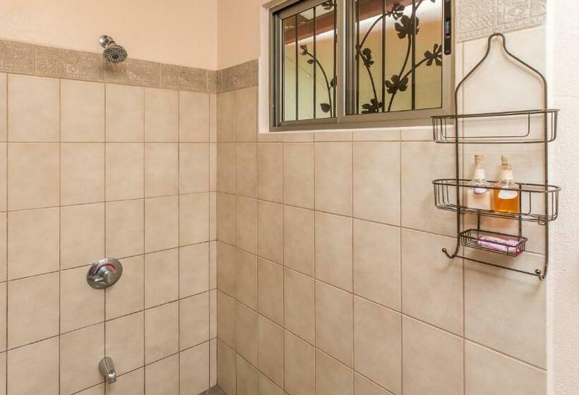 带大床的标准间, Jardín De Los Monos