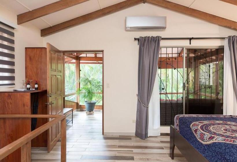 小型套房, Jardín De Los Monos