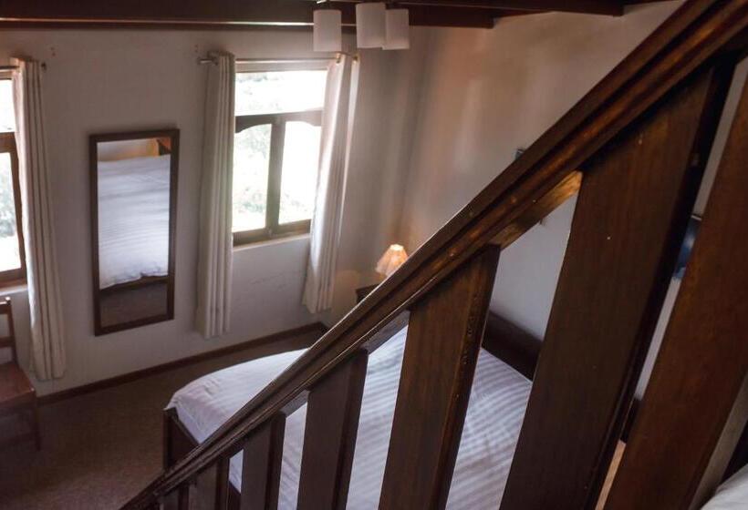 패밀리 룸, Santa Cruz