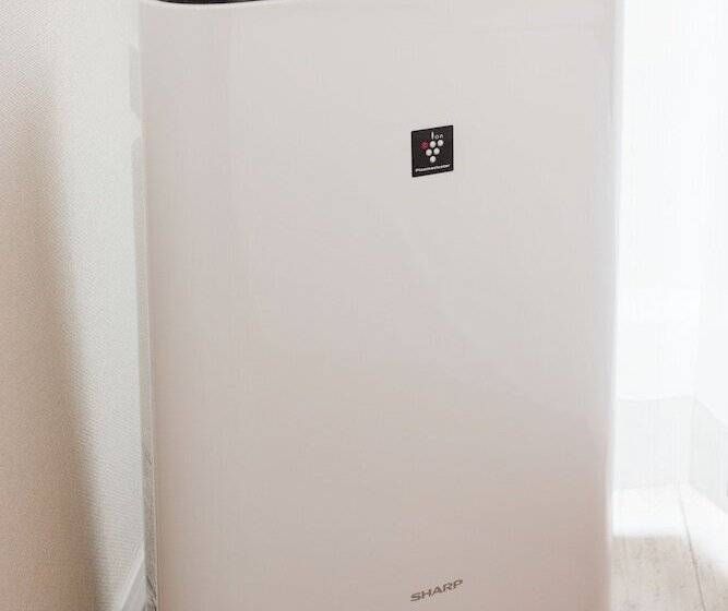 חדר סטנדרט, Sarasa Hotel Namba