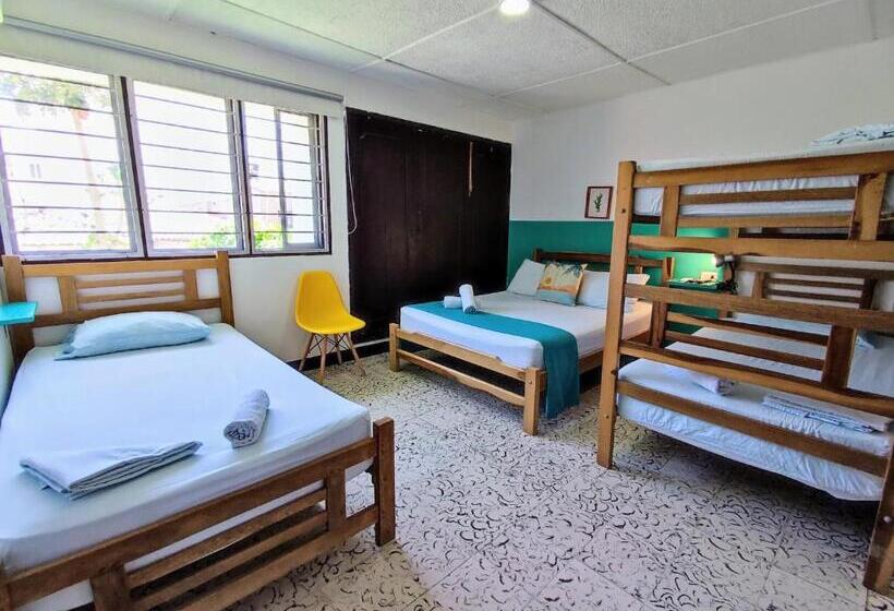 家庭间, Bona Vida