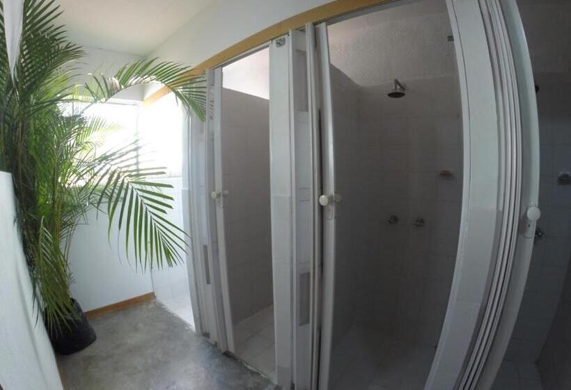 经济四人房间, Casa Estacion Hostel