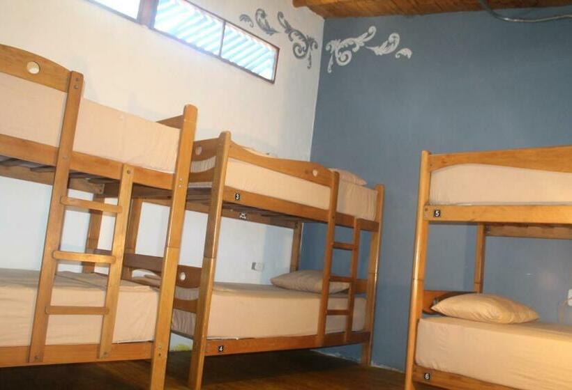 تختخواب در اتاق مشترک, Wild Rover Beach Mancora