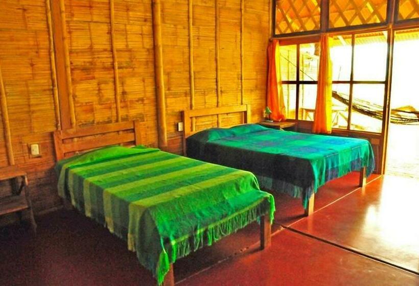 بانگلوی استاندارد, Grillo Tres Puntas Eco Hostel