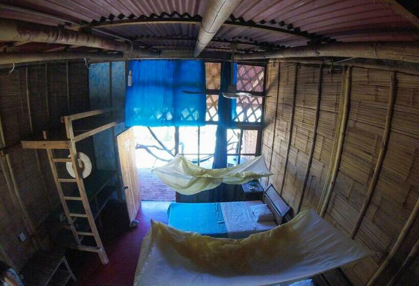 بانگلوی استاندارد, Grillo Tres Puntas Eco Hostel