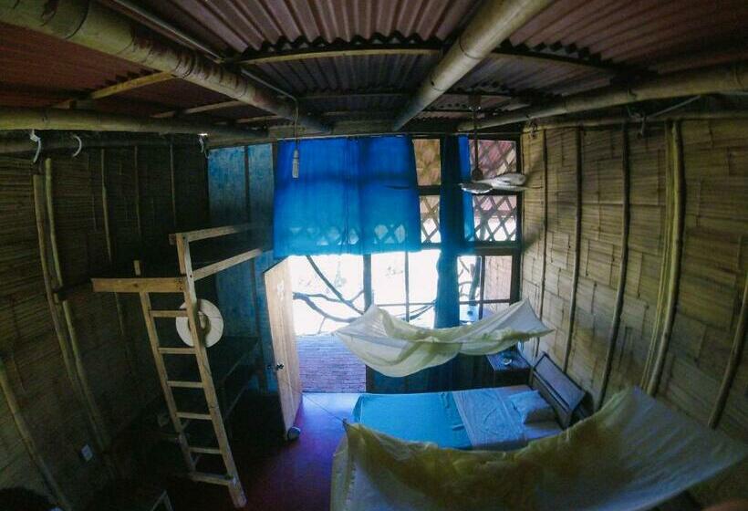 بانگلوی استاندارد, Grillo Tres Puntas Eco Hostel