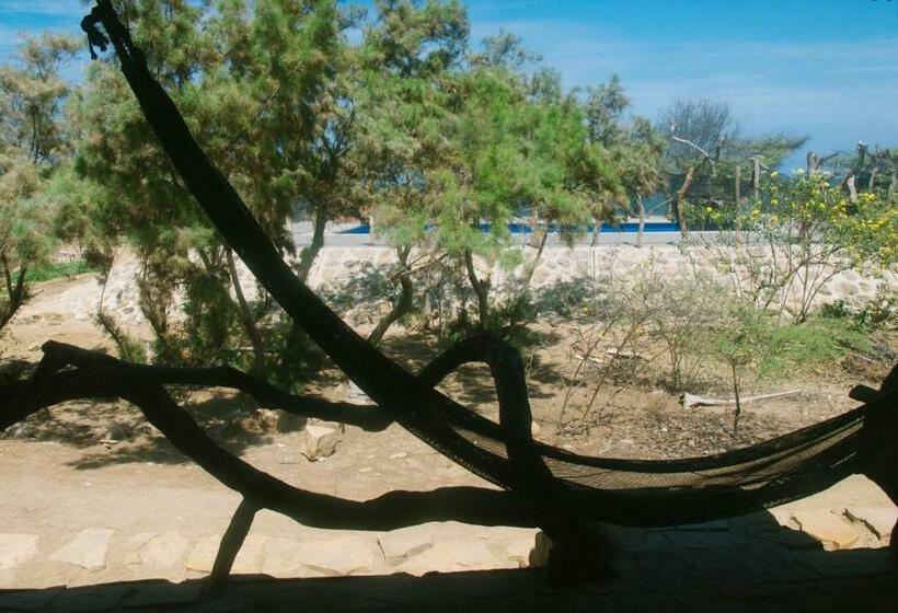 بانگلوی استاندارد, Grillo Tres Puntas Eco Hostel