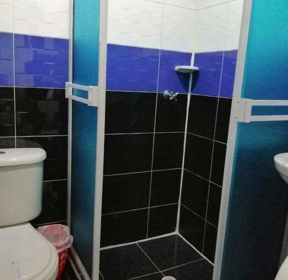 이코노미 트리플 룸, Azulejo Del Llano