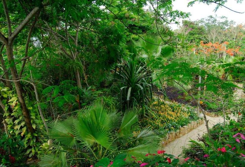 家庭洋房, Hostería Mandála