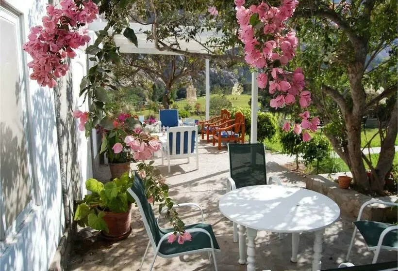 اتاق سوپریور خانوادگی, Los Palomos