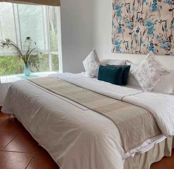 Полулюкс, Los Palomos