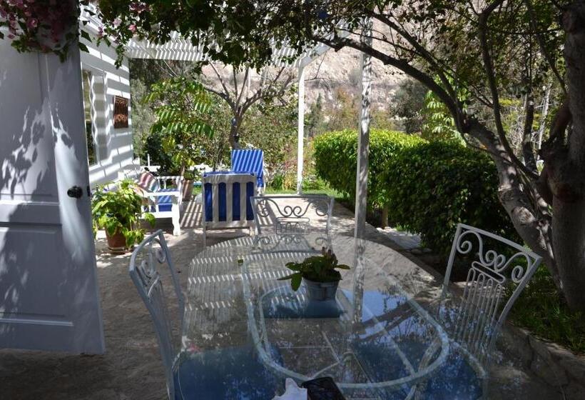 Семейный Номер, Los Palomos