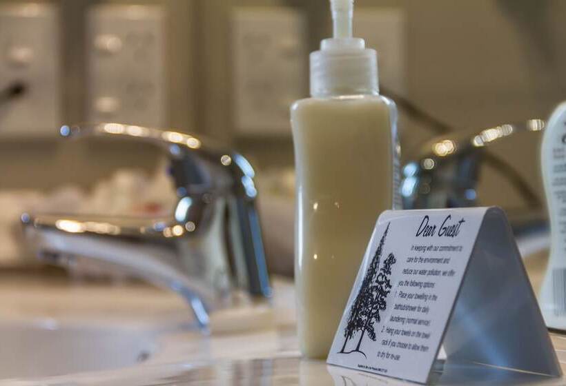 ベーシックルーム, Albert Court Motor Lodge