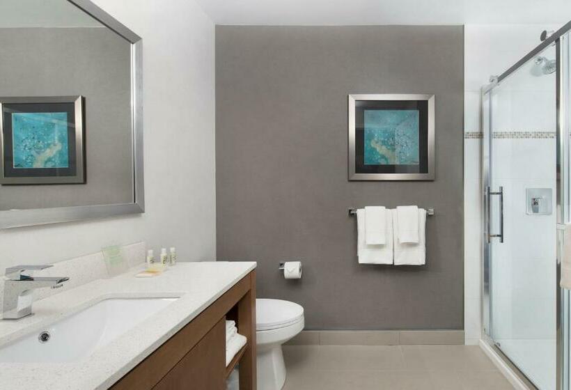 اتاق استاندارد, Holiday Inn Hotel & Suites Montreal Centre Ville Ouest, An Ihg