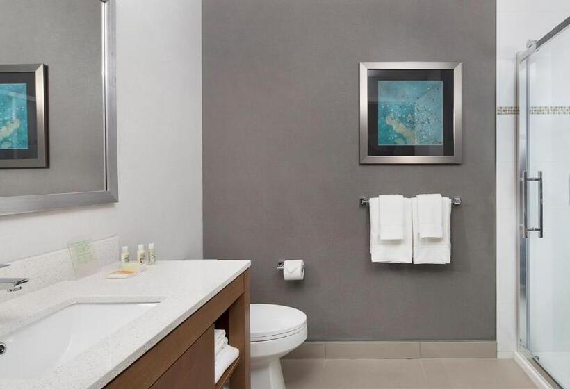 اتاق استاندارد برای معلولان, Holiday Inn Hotel & Suites Montreal Centre Ville Ouest, An Ihg