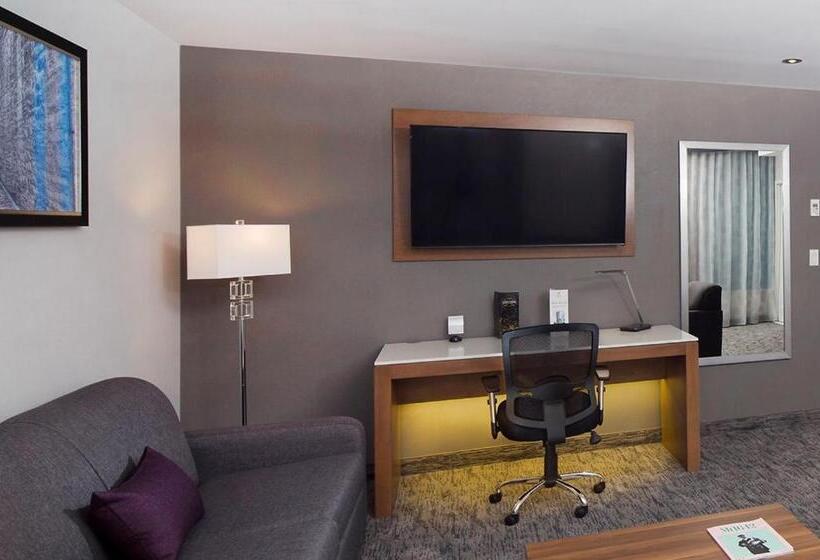 سوئیت با تخت بزرگ, Holiday Inn Hotel & Suites Montreal Centre Ville Ouest, An Ihg