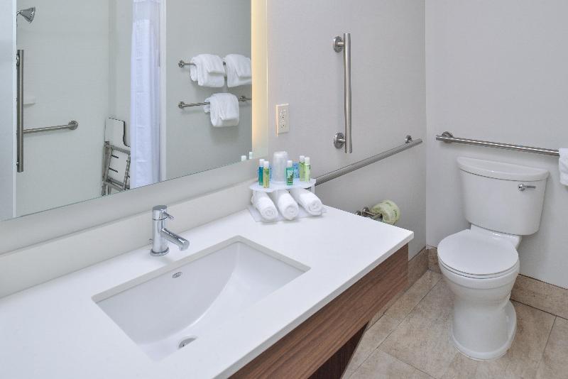 장애인을 위한 스위트, Holiday Inn Express & Suites   Brighton South   Us 23, An Ihg