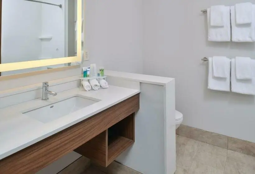 キングサイズベッドのエクゼクティブルーム, Holiday Inn Express & Suites   Brighton South   Us 23, An Ihg