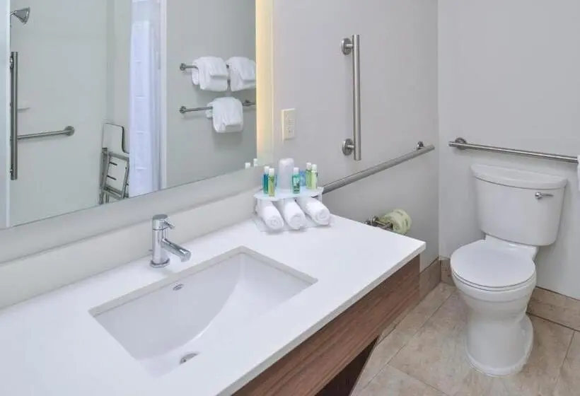 身障者適用キングサイズベッドルーム, Holiday Inn Express & Suites   Brighton South   Us 23, An Ihg