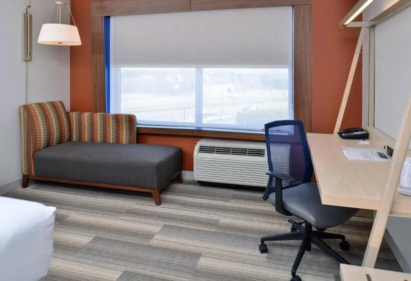 身障者適用スタンダードルーム, Holiday Inn Express & Suites   Brighton South   Us 23, An Ihg