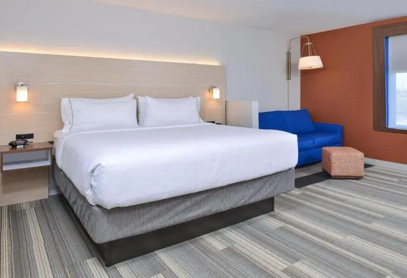 身障者適用スタンダードルーム, Holiday Inn Express & Suites   Brighton South   Us 23, An Ihg