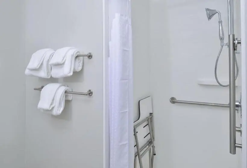身障者適用キングサイズベッドルーム, Holiday Inn Express & Suites   Brighton South   Us 23, An Ihg
