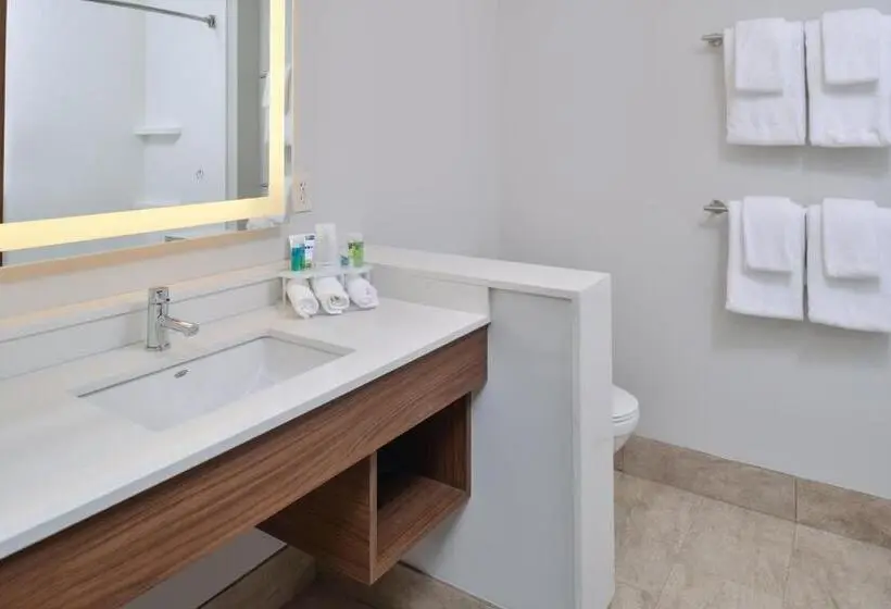 身障者適用スタンダードルーム, Holiday Inn Express & Suites   Brighton South   Us 23, An Ihg