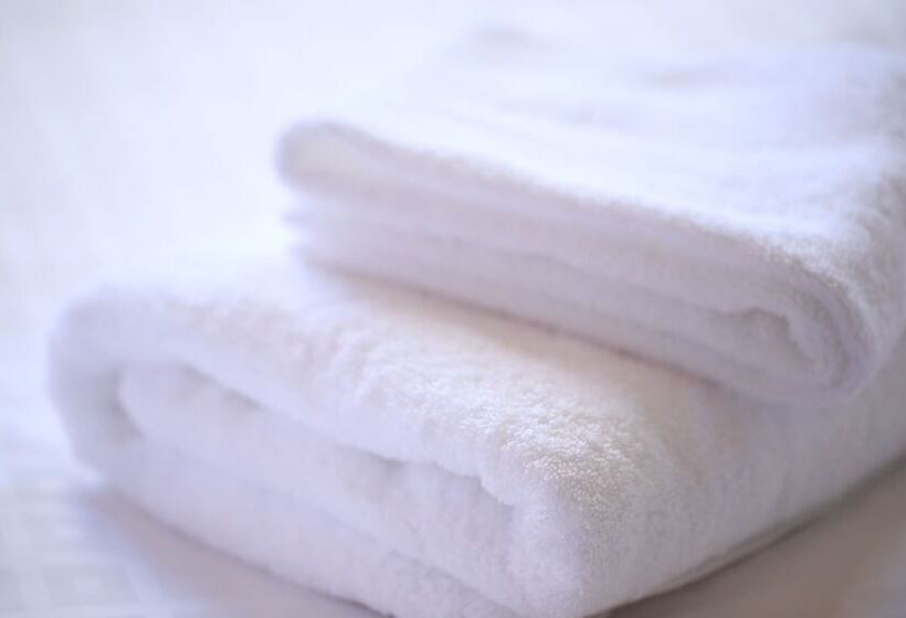 חדר סטנדרט, Wing International Select Asakusa Komagata