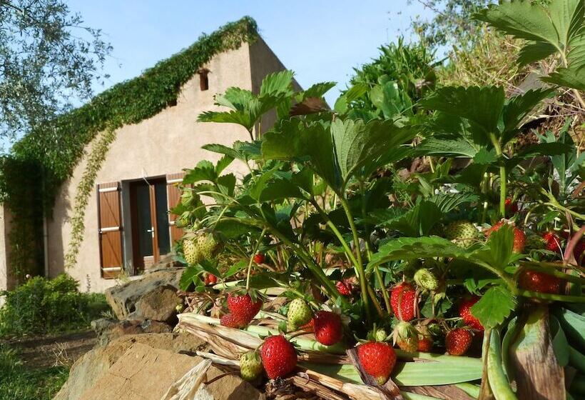 マウンテンビュースタンダードルーム, Le Mont D'olivine