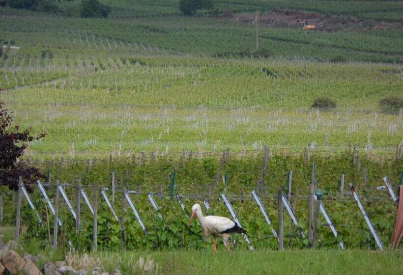 스탠다드 룸, Chambres D Hôtes Rachelle Schneider