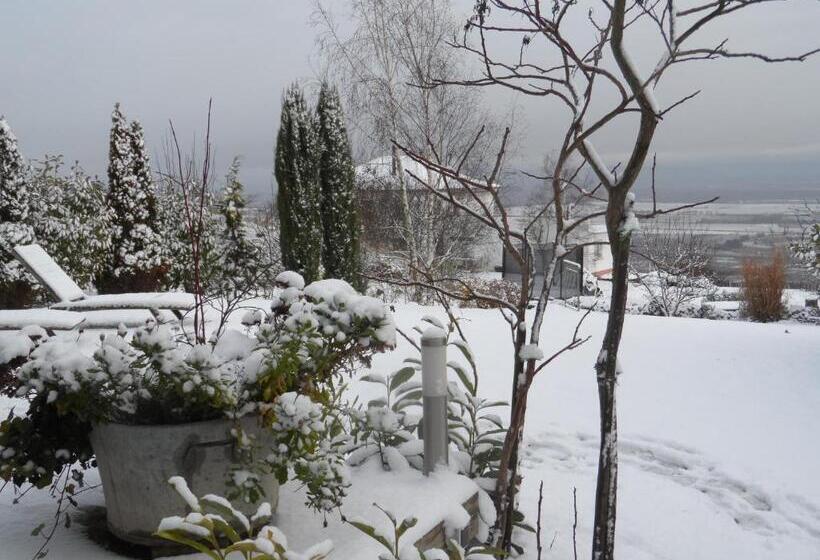 스탠다드 테라스 룸, Chambres D Hôtes Rachelle Schneider