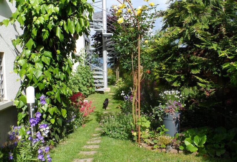 스탠다드 테라스 룸, Chambres D Hôtes Rachelle Schneider