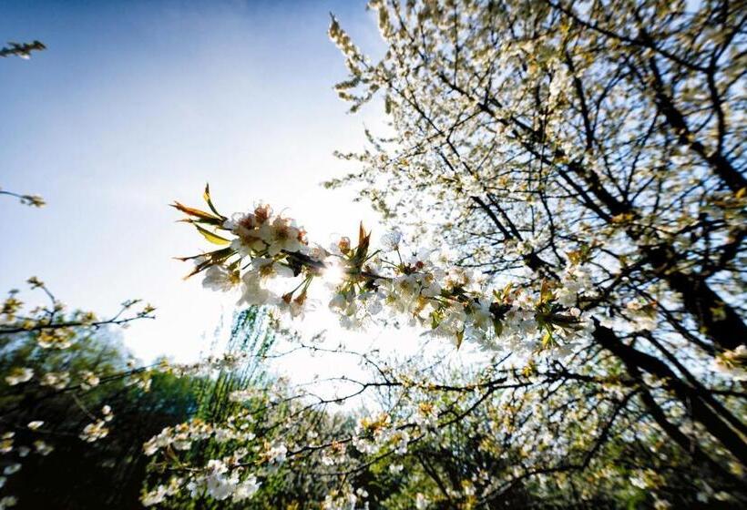 스탠다드 룸, Les Chambres D Hôtes Du Château De Saint Georges