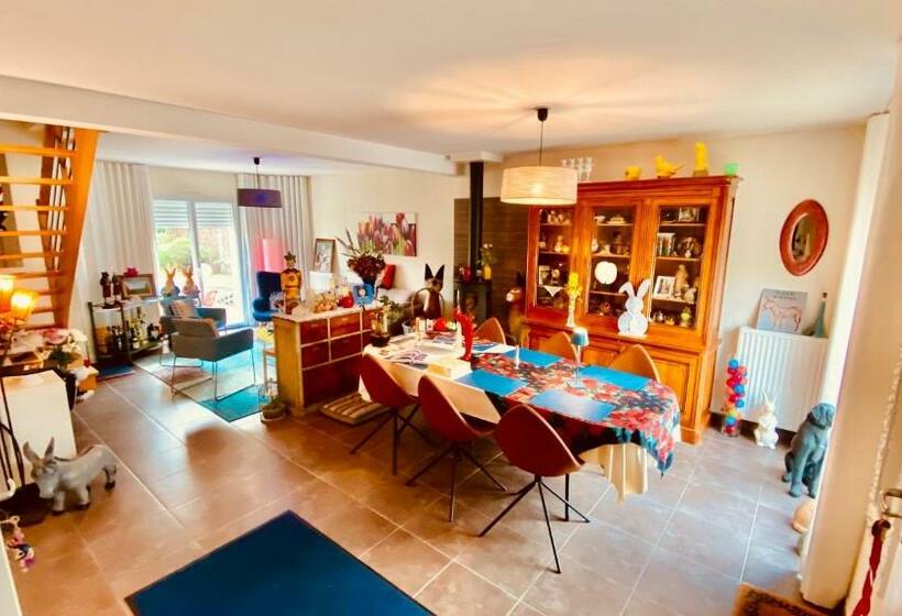 חדר סטנדרט, Côté Sud