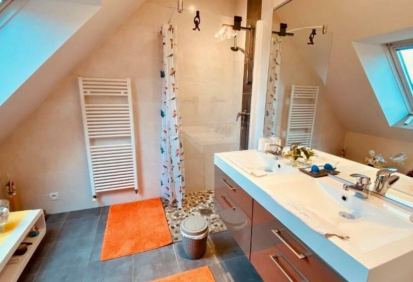 חדר סופריור, Côté Sud