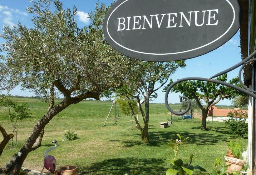 اتاق استاندارد, Gites Et Roulottes Du Grand Puits
