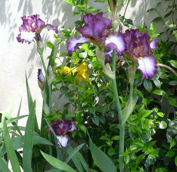 Номер Комфорт, La Maison De Sophie