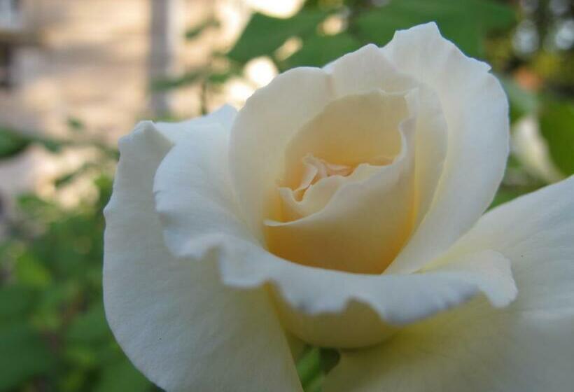 Люкс, La Maison De Sophie