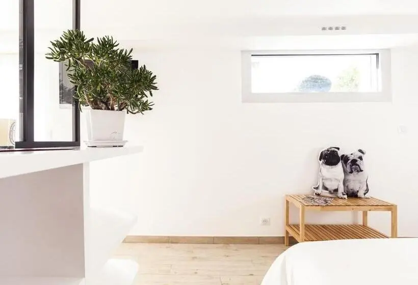 استودیوی استاندارد, Maison Bista Eder
