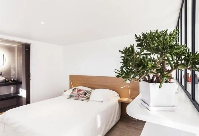استودیوی استاندارد, Maison Bista Eder