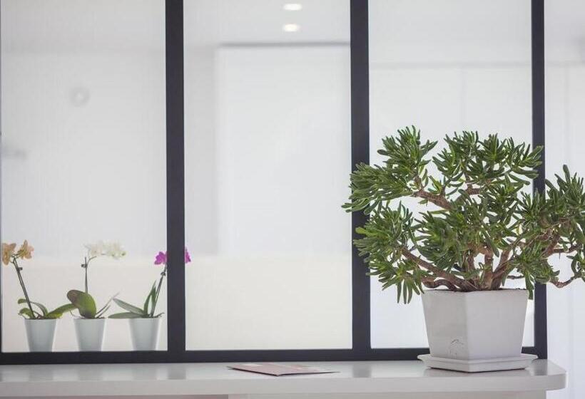 إستوديو قياسى, Maison Bista Eder