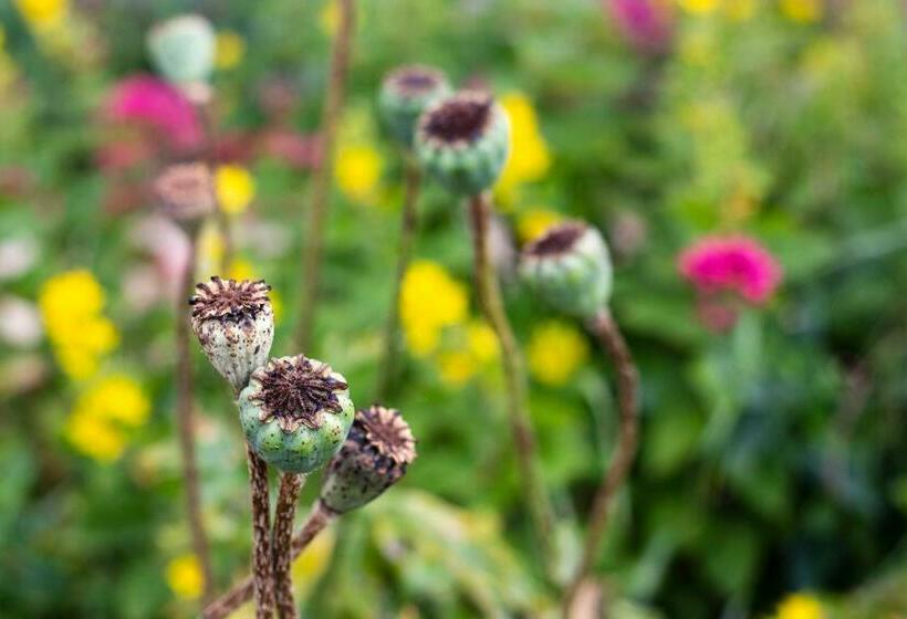 スタンダードルーム, Manoir De Coulandon