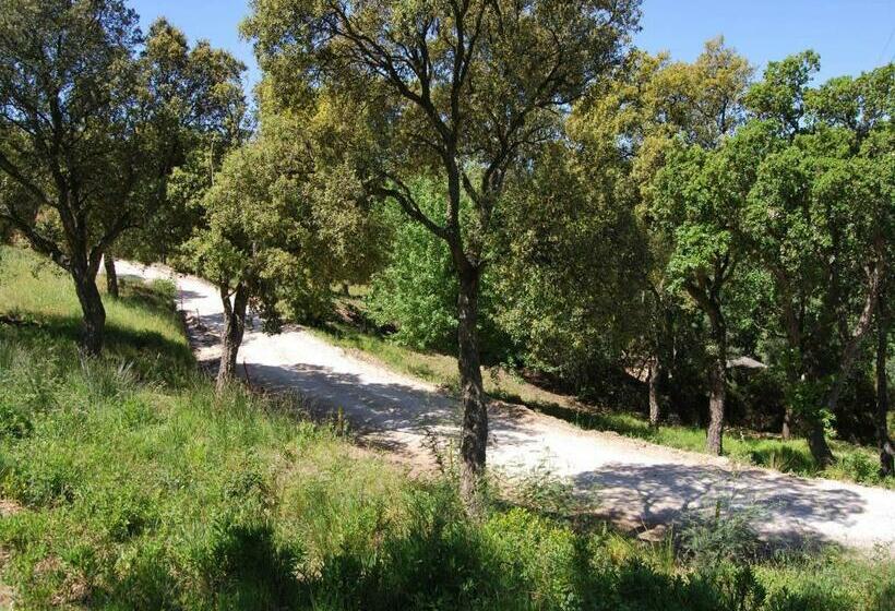 סוויטה דלוקס, Villa Nais B&b