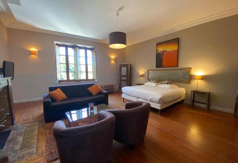 Полулюкс, Logis Hôtel Château De Palaja