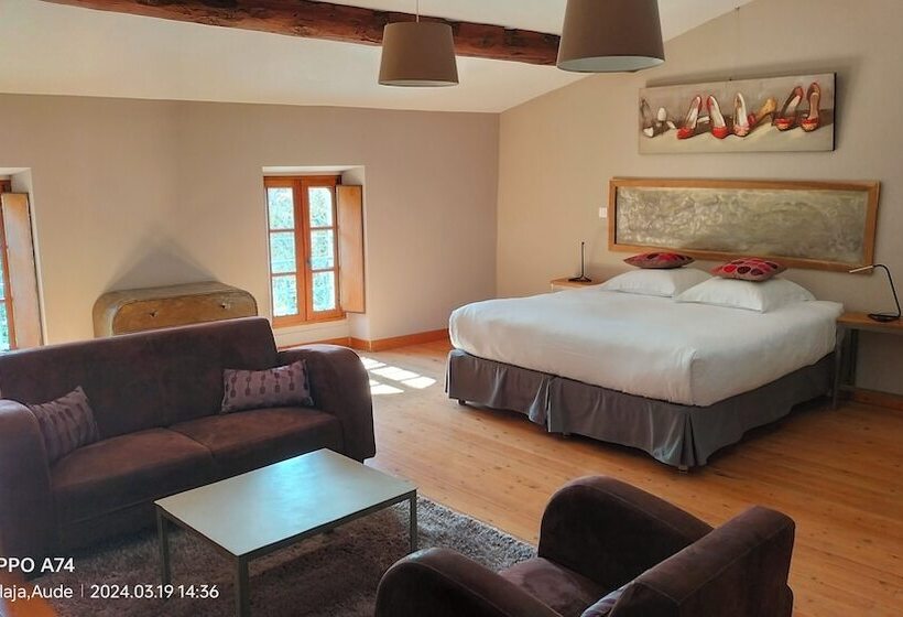 Полулюкс, Logis Hôtel Château De Palaja