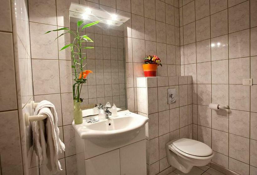 חדר סטנדרט, Hôtel Norotel