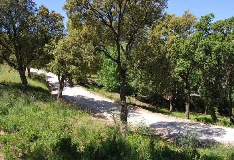 آپارتمان لوکس 1 خوابه, Villa Nais B&b